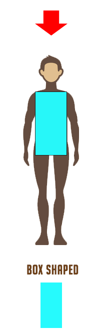 guys body shapes