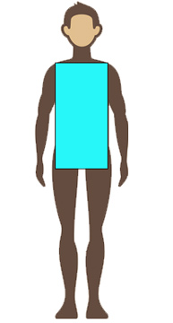 box shaped body type